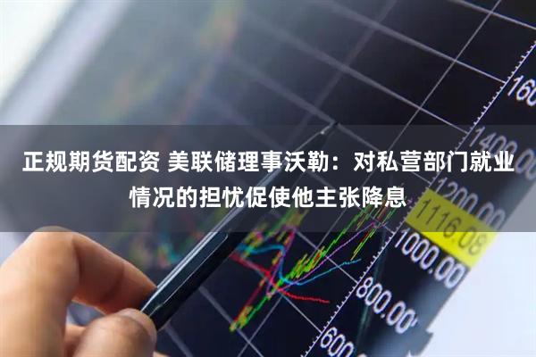 正规期货配资 美联储理事沃勒：对私营部门就业情况的担忧促使他主张降息